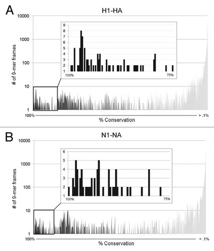 Figure 2. Conservation distribution of influenza H1N1 hemagglutinin and neuraminidase 9-mers. Pre-pandemic and pandemic H1-HA (A) and N1-NA (B) sequences were parsed into overlapping nine amino acid frames with a one amino acid frameshift, and unique 9-mers were evaluated for percent coverage of source antigens at 100% sequence identity using the Conservatrix algorithm. Inset: Close-up of the 75–100% coverage range.