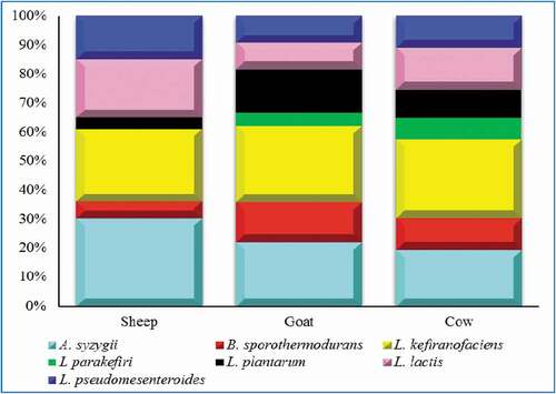 Figure 3. Major taxonomic group of bacterial microbiota and their incidence in kefir prepared by sheep, goat and cow milk.Figura 3. Principales grupos taxonómicos de la microbiota bacteriana y su incidencia en el kéfir preparado con leche de oveja, de cabra y de vaca