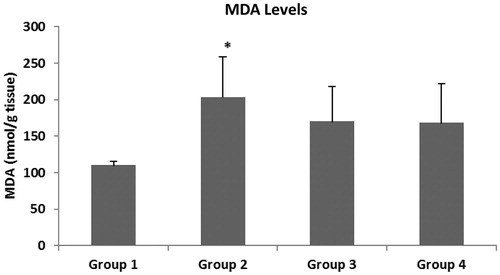 Figure 2. MDA levels in colonic mucosa. The data represent the mean ± SD, n = 6 (*p < 0.01, versus to Group 1).