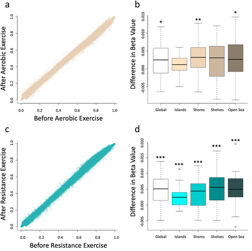 Figure 1. Average beta values for all probes on the array were compared before and after the implementation of the protocols evidencing an increasing in global DNA before both aerobic exercise (a) and resistance exercise (c). Differential methylation was assessed using paired t-tests for each respective region of the genome. The aerobic exercise (b) increased DNA methylation in global, shores and open sea genomic context, while the resistance exercise (d) increased DNA methylation in all genomic context, including global, islands, shores, shelves and open sea. *designates a p-value of < 0.05, **designates a p-value of < 0.01, and ***designates a p-value of < 0.001. This figure was made with R program version 4.2.2.