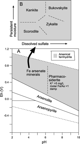 Fig. 6  Relative stabilities of As minerals discussed in this study, as deduced from empirical observations of South Island mine sites. (A) Eh-pH diagram, after Vink (Citation1996) and Craw et al. (Citation2003), for total dissolved As of c. 10-4 moles/L, Fe/As ≥1, and dissolved K+ of c. 5 mg/L. Secondary As minerals are commonly accompanied by arsenical ferrihydrite (grey ornament). The boundary between pharmacosiderite and scorodite-like minerals has not been quantified thermodynamically. (B) Schematic phase diagram showing qualitative controls on iron arsenate mineral formation. The boundaries separating the different minerals in B have not been quantified thermodynamically, but reflect differences in mineral formulae (Table 1) and observed occurrences (Table 2). The ‘persistent moisture’ axis reflects microclimates as outlined in the text.