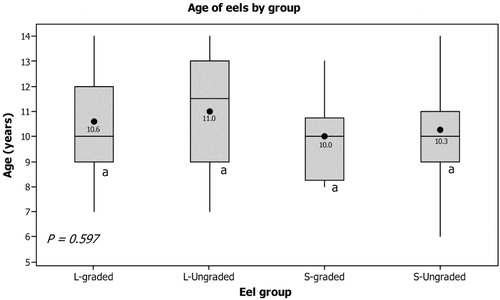 Figure 2 Age of four groups of shortfin eel (Anguilla australis) established by size. The bottom and top lines of the box are the lower (Q1) and the upper (Q3) quartiles respectively. The line inside represents the median (Q2), whereas the black dot represents the mean. The end of the whiskers are the lowest datum still within 1.5 IQR of the lower quartile (Q1) and the highest datum still within 1.5 IQR of the upper quartile (Q3). Outliers' values are represented by a plus sign. IQR = Q3–Q1.