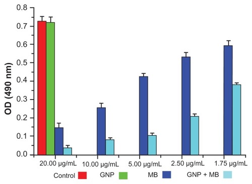 Figure 7 Bar plot represents the XTT biofilm reduction assay at 490 nm.Notes: Here, GNP (0.2 mg/mL)-treated and control biofilm show a negligible difference in optical density. With increments in MB and its concentration in GNP–MB conjugate (1.75 μg/mL to 20 μg/mL; MB), biofilm or optical density of biofilm significantly decreases in GNP–MB-treated biofilm as compared to MB-treated biofilm.Abbreviations: GNP, gold nanoparticle; MB, methylene blue.