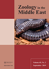 Cover image for Zoology in the Middle East, Volume 65, Issue 3, 2019