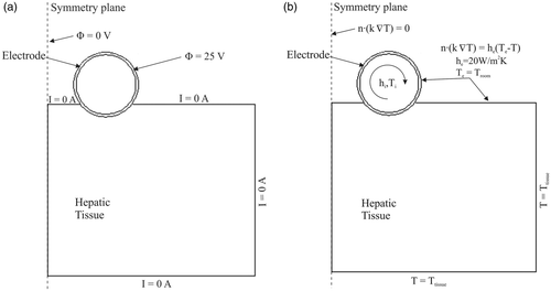 Figure 3. Electrical (a) and thermal (b) boundary conditions of the theoretical model.