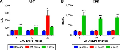 Figure 5 Effect of ZnO engineered nanoparticles (ENPs) on liver function.Notes: (A) Time-dependent significant increases in aspartate aminotransferase (AST) were observed in rats after intravenous administration of ZnO ENPs. At the higher dose of 20 mg/kg ZnO ENPs, a fivefold increase in AST was observed. However, it had decreased by 7 days. (B) Increases in creatine phosphokinase (CPK) were also found 7 days after ZnO ENP injection. The P-values were determined by one-way ANOVa followed by Bonferroni’s post-hoc test, where *P≤0.05, and ***P≤0.0001 versus baseline.