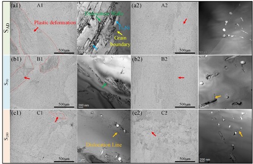 Figure 13. OM and TEM observations of the (a1) A1, (a2) A2, (b1) B1, (b2) B2, (c1) C1, and (c2) C2 regions in Figure 12.