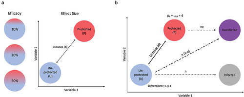 Figure 2. Graphical illustration of simulated data. (a) The ability to resolve CoR depend critically on the overall efficacy (left) of the vaccine, which is the fraction of vaccine recipients that mounted a protective response, and the effect size (right), which is the magnitude and spread of response distributions between protected (red) and unprotected (blue) participants, visualized for two exemplary variables. (b) To model immunogenicity data for differently distinct and effective vaccines, two populations (U and P) were assigned three normally distributed, uncorrelated immune response parameters (μ) that varied in distance (d) from each other defined in terms of standard deviations from the mean (SD). Parameter space ranged from distances of 0.0–5.0 SD and efficacy (e) of 5–50%.