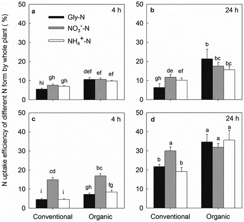 Figure 5. N uptake efficiencies of different N forms in whole plant of pakchoi at 4 h under low N treatment (a), 24 h under low N treatment (b), 4 h under high N treatment (c) and at 24 h under high N treatment (d). Different lower-case letters indicate significant differences between all treatments at 0.05 level. Values are mean ± SE.