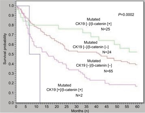 Figure 4 HCCs with β-catenin mutation but not CK19 expression had the best 5-year survival rate, while HCCs with CK19 expression but not β-catenin mutation had the worst 5-year survival rate (P = 0.0002).