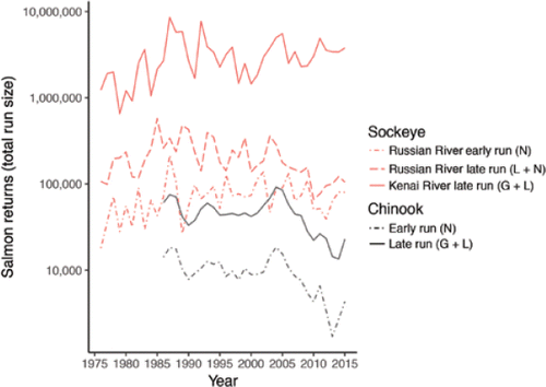 Figure 8. Returns (total run size: escapement + harvest) of adult Chinook and Sockeye salmon to the Kenai River and a major tributary, the Russian River (data from Alaska Department of Fish and Game). Returns are plotted separately for populations or runs of each species that differ in spawning habitat and timing. The early runs of each species spawn in tributaries not influenced by lakes or glaciers (N). The late runs spawn predominantly in tributaries influenced by lakes (L) or in the main stem influenced by glaciers and lakes (G + L). Returns have varied by roughly an order of magnitude (7- to 13-fold) over the period of record for all five runs (note the log-scaled y-axis). Chinook Salmon returns data exclude small fish <75 cm in length from mid-eye to tail fork, which cannot be distinguished from Sockeye Salmon on imaging sonar (CitationFleischman and Reimer 2017).