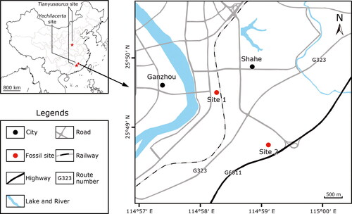 Figure 1. Map of China showing the localities for Tianyusaurus (Henan and Jianxi provinces) and Yechilacerta yingliangia gen. et sp. nov. (Jianxi Province), with an enlargement showing the two localities from which the holotype of Yechilacerta yingiangia, YLSNHM01796 (site 1), and the second specimen, YLSNHM01791 (site 2), were recovered.