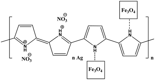 Figure 1. Structure of PPyAgNp/Fe3O4-nanocomposite.