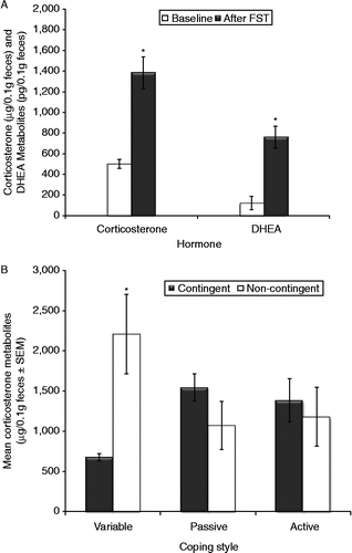 Figure 5.  Fecal corticosterone and DHEA metabolite concentrations before and after 3 days of testing in the FST. (A) The FST increased fecal corticosterone (ANOVA, p < 0.001) and DHEA (p < 0.001). (B) Training and coping style interacted (ANOVA, p = 0.045): after the FST, contingent variable copers and non-contingent variable copers had lowest and highest fecal corticosterone. *p < 0.05 vs. other groups, Tukey. Groups: contingent variable, n = 4; non-contingent variable, n = 5; contingent active, n = 5; non-contingent active, n = 4; contingent passive, n = 5; non-contingent passive, n = 5.