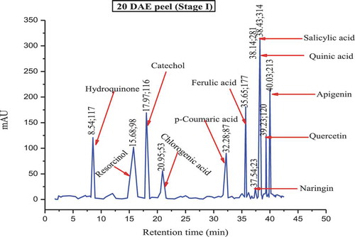FIGURE 2a HPLC chromatograms of polyphenols in 20 DAE (stage I) matured culinary banana peel.