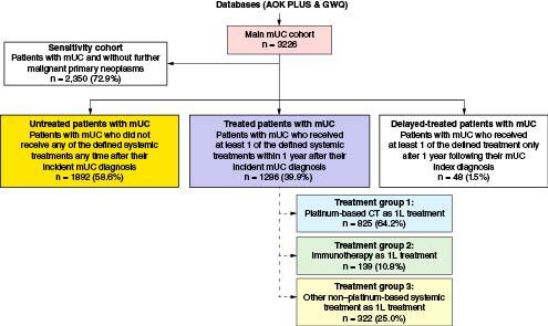 Figure 1. Patient selection and cohort delineation.1L: First-line; CT: Chemotherapy; mUC: Metastatic urothelial carcinoma.