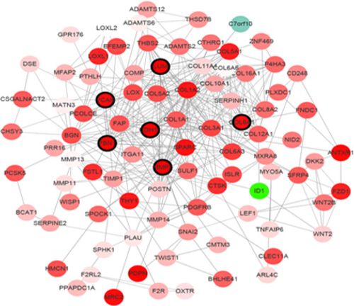 Figure S2 PPI network of genes in the purple module.