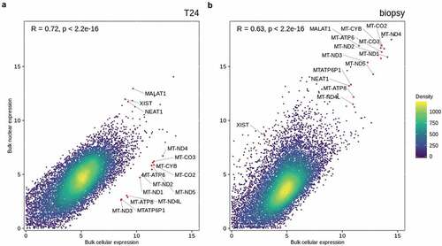 Figure 3. Concordance between gene expression profiles for nuclei and cells. Scatterplot of gene expression [log(counts + 1)] from fractions of cellular and nuclear bulk mRNA from a) T24 human bladder cancer cell line R = 0.72, p < 2.2e − 16 and b) human muscle-invasive bladder tumor R = 0.63, p < 2.2e − 16. Pearson correlation was used to determine the correlation coefficient R and p-value. Density indicates neighboring data points. Red dots indicate deviating genes highly expressed in one fraction but not the other.