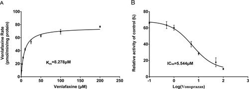 Figure 3 (A) Substrate saturation plots, from product formation data, for venlafaxine (1–200 µM) in RLMs. (B) Effect of the vonoprazan on venlafaxine metabolism in RLMs (vonoprazan 0.1–100 µM).