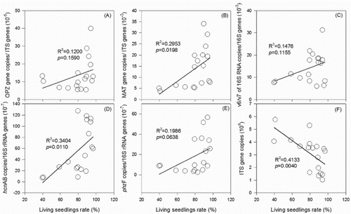 Figure 6. Correlations between living seedling rate and relative abundances of F. oxysporum f. sp. cucumerinum (A), F. oxysporum (B), pseudomonas (C), HCN-pseudomonas (D), phenazine-producing pseudomonas (E), and abundance of fungi (F).