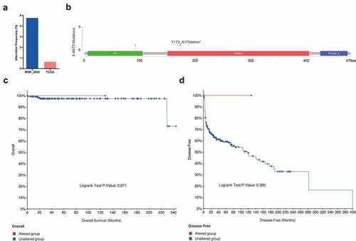 Figure 2. AKT3 mutation is associated with survival outcomes of TGCT patients. (a) Mutation frequency of AKT3 in different TGCT cohorts in the cBioPortal database. (b) The position of the AKT3 mutation site on the AKT3 protein. (c) Association of AKT3 mutation with overall survival. (d) Association of AKT3 mutation with disease-free survival