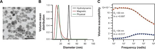 Figure 2 SPION characterization.Note: (A) Representative TEM image of PEG-coated SPIONs, (B) Magnetic, physical, and hydrodynamic diameter distributions for PEG-coated SPIONs, (C) Dynamic magnetic susceptibility measurements for PEG-coated SPIONs.Abbreviations: PEG, poly(ethylene) glycol; SPION, superparamagnetic iron oxide nanoparticles; TEM, transmission electron microscopy.