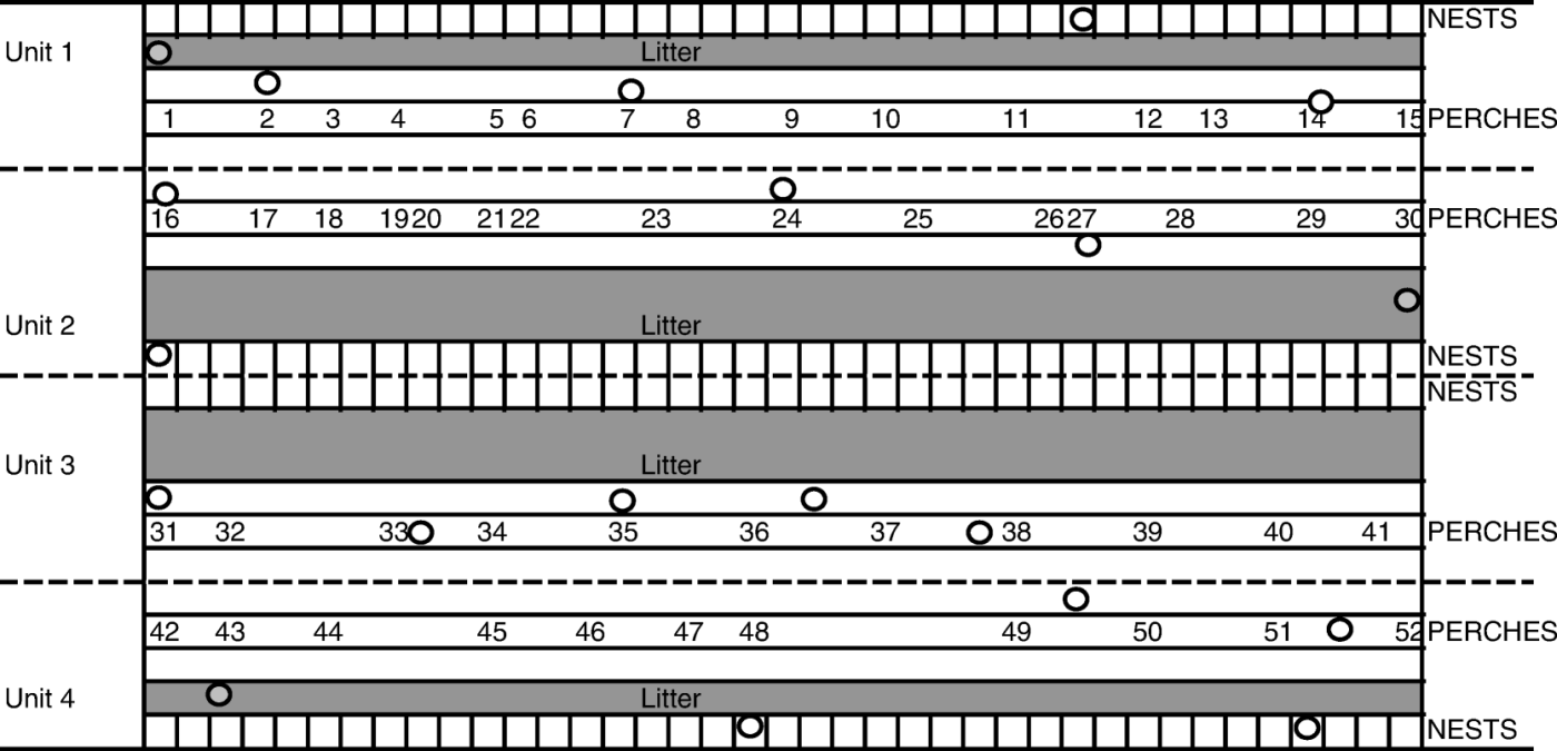 Figure 1.  Schematic illustration of sampling locations within the poultry house. Circles, dead hens for necropsy and isolation of E. rhusiopathiae were collected; numbers, location of mite traps. Traps were pooled as follows; Pool 1 (Traps 1 to 5), Pool 2 (Traps 6 to 10), Pool 3 (Traps 11 to 15), Pool 4 (Traps 16 to 21), Pool 5 (Traps 22 to 25), Pool 6 (Traps 26 to 30), Pool 7 (Traps 31 to 35), Pool 8 (Traps 36 to 41), Pool 9 (Traps 42 to 46), and Pool 10 (Traps 47 to 52).