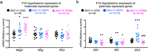 Figure 6. Expression of Dlk1-Dio3 domain genes in PGF and PGM tissues.