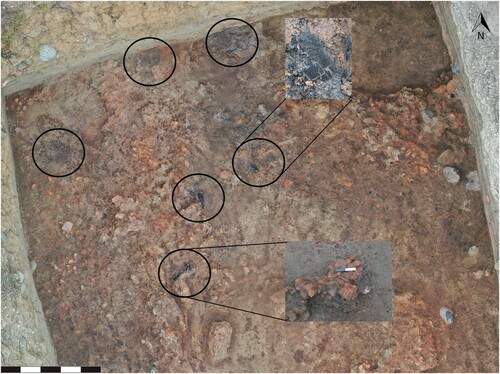 Figure 9. Wooden architectural evidence in trench 9 with the wooden beams found in situ indicated with black circles (Photo credit: J. Hamburg).