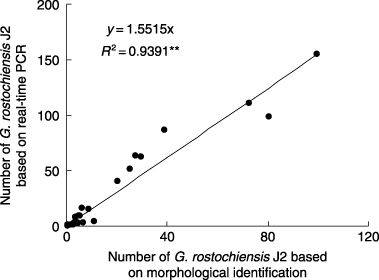 Figure 2  Relationship between the numbers of Globodera rostochiensis J2 estimated from morphological identification and from real-time polymerase chain reaction (PCR). **P < 0.01.