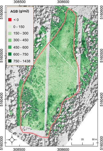 Figure 6. AGB map produced by combining LiDAR and hyperspectral information. The orthomosaic-derived DEM serves as the base map. The coordinate reference system is WGS 84/UTM zone 33N (EPSG: 32633).