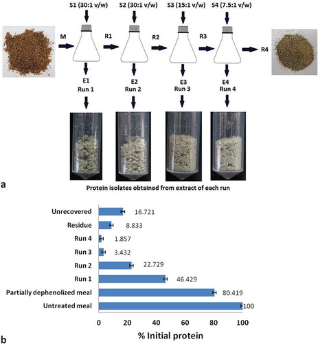 FIGURE 7 (a) Cross-flow extraction in four stages [S(n) = extractive solvent: meal ratio of stage n; M = Partially dephenolized rapeseed meal; R(n) = Residual solid from stage n; E(n) = Extract from stage n; Alkaline solution of pH 11 (with 0.097M NaCl and 0.4% sodium sulfite) was used as extractant in all the stages; Extraction time for each run = 1 h]; (b) Distribution of protein content in the different stages of processing (alkaline solution of pH 11 was used for protein extraction in all the four stages of cross-flow extraction scheme). Values are mean of two replicates.