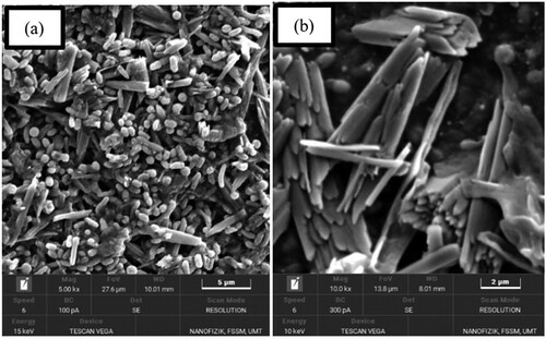 Figure 4. The SEM image at (a) 5000x magnification and (b) 10 000x magnification showing aggregate and rod shapes.