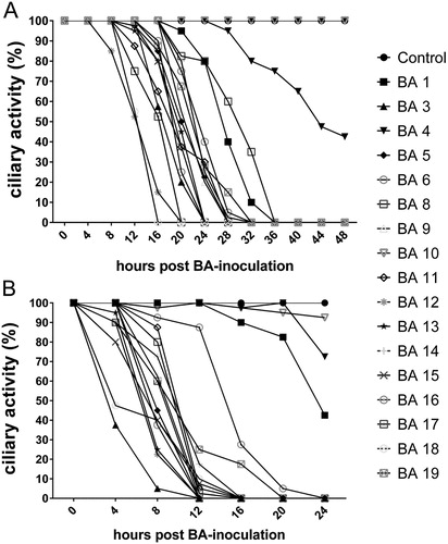 Figure 2. Ciliostasis assay in TOCs. Ciliary activity following inoculation with 105 CFU (A) and 107 CFU (B) of B. avium per TOC. Symbols represent the median (n = 12).