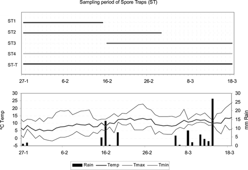 Figure 2. Sampling period data. Top: The intervals during which the five spore traps were used (ST1–ST4, spore traps on ground level; STT, spore trap on the terrace). Bottom: Daily temperatures and rainfall during the sampling period.