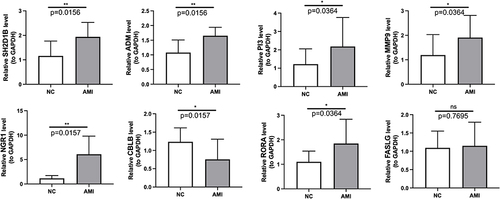 Figure 10 Verification of the eight biomarkers using real-time quantitative PCR (AMI samples = 10, control samples = 10). * p < 0.05, ** p < 0.01.