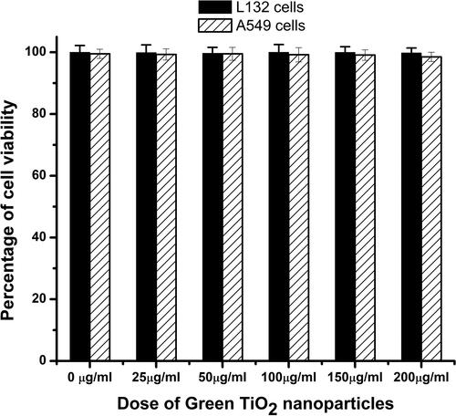 Figure 4. The biocompatibility of the G- TiO2 nanoparticles was monitored using XTT assay in normal cell lines (L132) and cancer cell lines (A549). The synthesized G-TiO2 nanoparticles were treated at different concentrations in these cells and the cell viability was assessed using XTT assay 24 h after exposure. The percentage of cell viability for (a)L132 cells and (b) A549 cells after exposure to different concentrations of G-TiO2 nanoparticles.