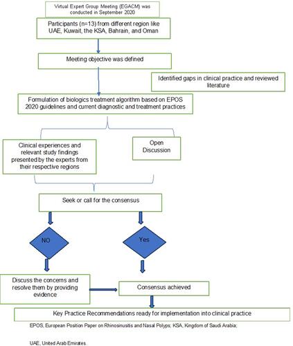 Figure 1 Flow chart representation of consensus development.