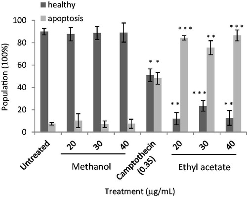 Figure 3. Apoptotic effects of C. nutans root extracts on MCF-7 cells. Cells were treated with C. nutans root extracts and camptothecin for three days at the indicated concentrations. Data represent three independent experiments performed in triplicate. Asterisks denote differences with statistical significances compared to untreated cells (*, ** and *** represent p < 0.05, p < 0.005 and p < 0.0005 respectively). p-values were obtained from a two-tailed t-test.