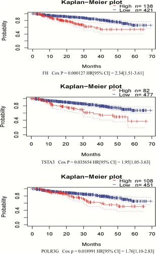 Figure 4. Correlation between individual statistically significant DEG expression and DSS in MM. Kaplan–Meier survival curves comparing high and low expression of DEGs in MM in PrognoScan, as based on the GSE2658 dataset (n = 559). Cox p < 0.05 was considered as statistically significant. DEGs, differentially expressed genes; DSS, disease-specific survival; MM, multiple myeloma.