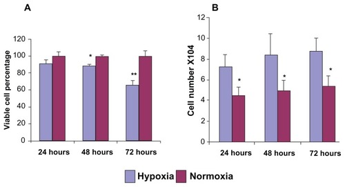 Figure 1 MTT assay and cell viability of podocytes under hypoxia and normoxia culture conditions. MTT assay (A) showed decreased cell viability under hypoxia treatment at 24 (P = 0.11), 48 hours (*P < 0.05) and 72 hours (**P < 0.01). (B) Significantly (P < 0.05) increased podocyte cell numbers after 24, 48, and 72 hours of hypoxia culture conditions were noticed compared to normoxia culture conditions.