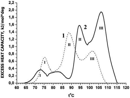 Figure 1. DSC profiles of rat liver nuclei in buffer A: 1 – control; 2 – with Dst (molar ratio Dst/DNA =0.1). I, II, III – designations of thermal transitions.