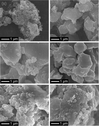 Figure 6. FE-SEM images of the prepared samples. (a) TE, (b) AP100Ph0, (c) AP75Ph25, (d) AP50Ph50, (e) AP25Ph75, and (f) AP0Ph100.