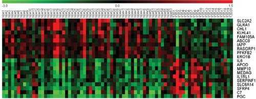 Figure 1 A heat map of the top 10 upregulated DEGs and top 10 downregulated DEGs in 57 non-T2D islet samples and 20 T2D islet samples.