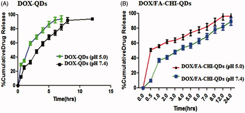 Figure 5. Percent cumulative DOX release from the QDs formulations at pH 5.0 and 7.4. Values represent mean ± S.D. (n=3).