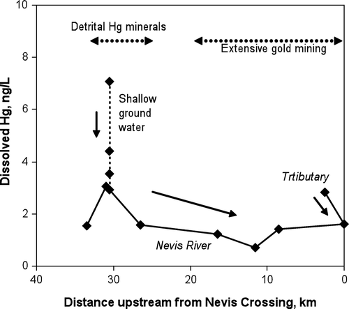 Fig. 8  Dissolved Hg in the Nevis River catchment, plotted by distance upstream from Nevis River Crossing. Arrows show direction of water flow.