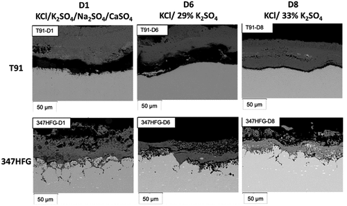 Figure 6. Backscattered images of the two different alloy and different deposits.