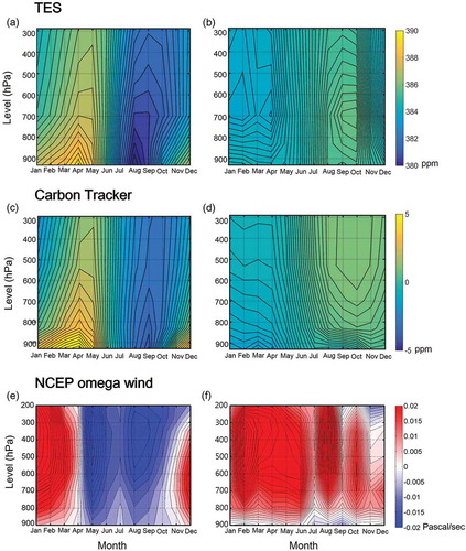 Figure 6. Vertical TES and carbon tracker monthly CO2 variations and omega wind (vertical pressure velocity) averaged during 2006–2011 at southeastern Japan (a, c, e) and southeastern Australia (b, d, f).