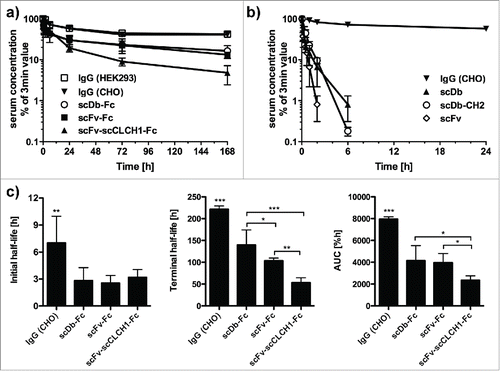 Figure 7. a) Pharmacokinetics of IgG and Fc fusion proteins. b) Pharmacokinetics of scFv as well as scDb and scDb-CH2. CD1 mice received a single injection of 25 µg protein and serum concentrations were determined by ELISA. c) Statistical analysis of terminal half-lives and AUCs of the IgGs and Fc fusion proteins.