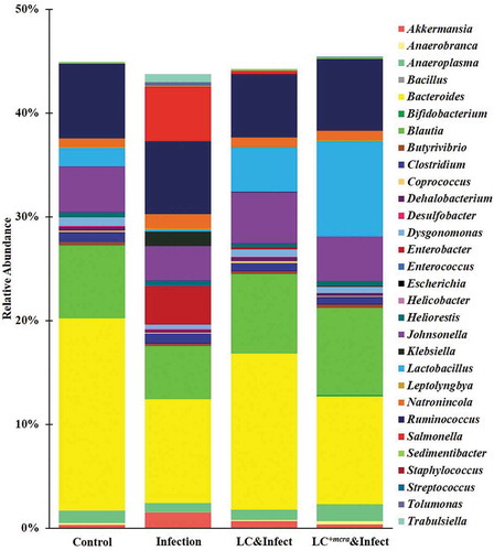 Figure 9. Mice cecal microbiota composition at genus level. Bacterial genus-level community composition in cecal contents from consolidated pool of dataset was compared among control mice providing placebo and without ST infection, mice infected with ST, mice daily administered with LC for one week followed by ST challenge, and mice daily administered with LC+mcra for one week followed by ST challenge. Overall 30 bacterial genera were targeted based on their relative abundances and importance in gut microbiome. The total relative abundances of all targeted 30 genera varied from 43 to 46% in different mice groups.